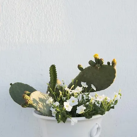 Biancadamare Bed & Breakfast 4*