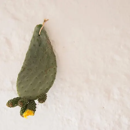 Bed & Breakfast Biancadamare