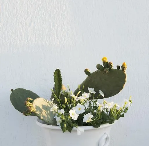 Biancadamare 住宿加早餐酒店 4*