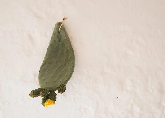 Oda ve Kahvaltı Biancadamare